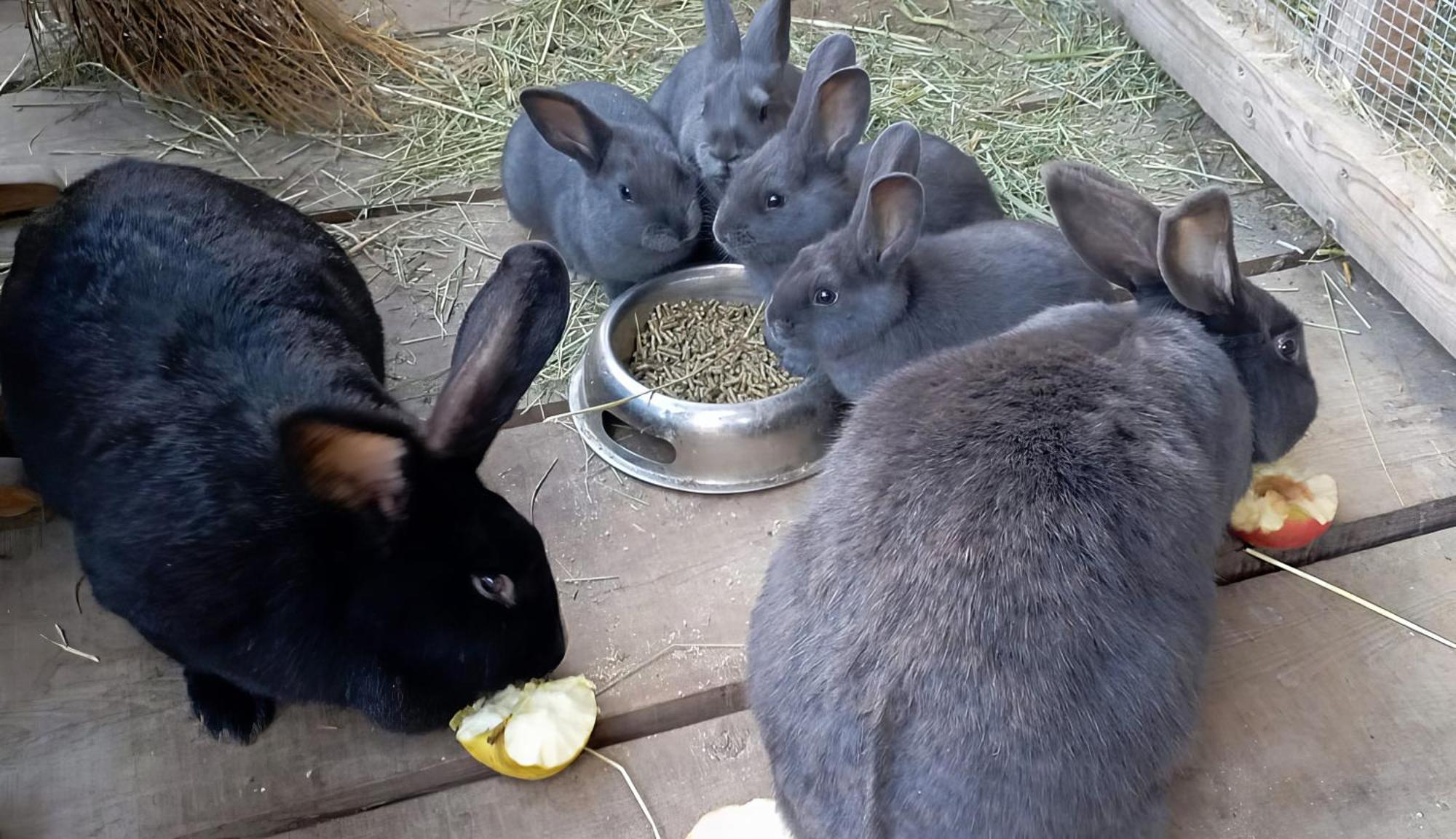 Willa Alpegger Terento Zewnętrze zdjęcie